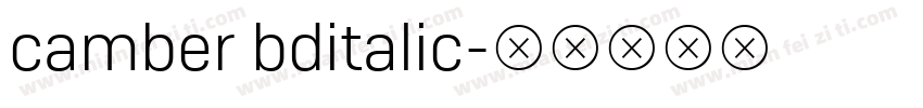 camber bditalic字体转换